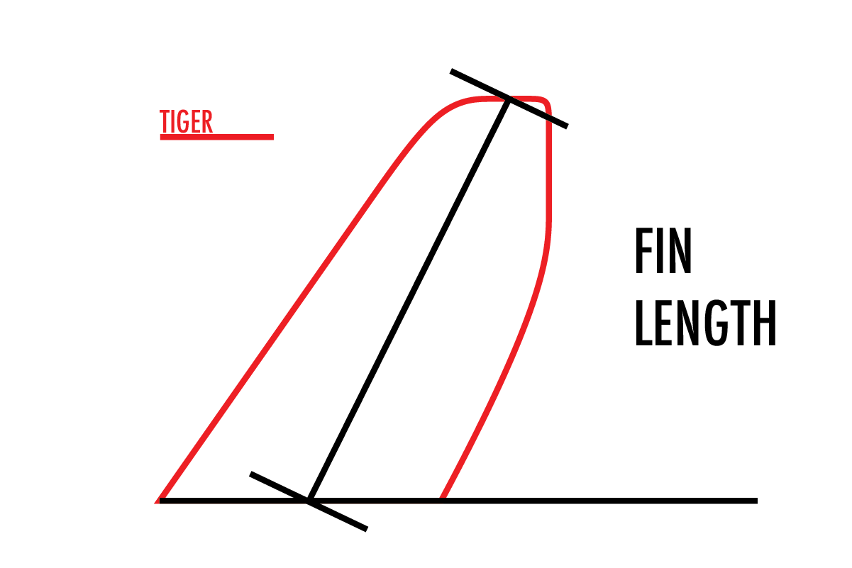SUP Fin Science 101 Terms and Design Fundamentals